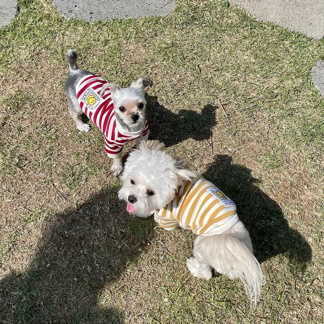 Smiley Striped Tee