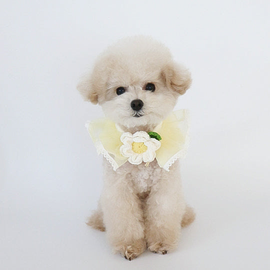 Flower Tutu Cape